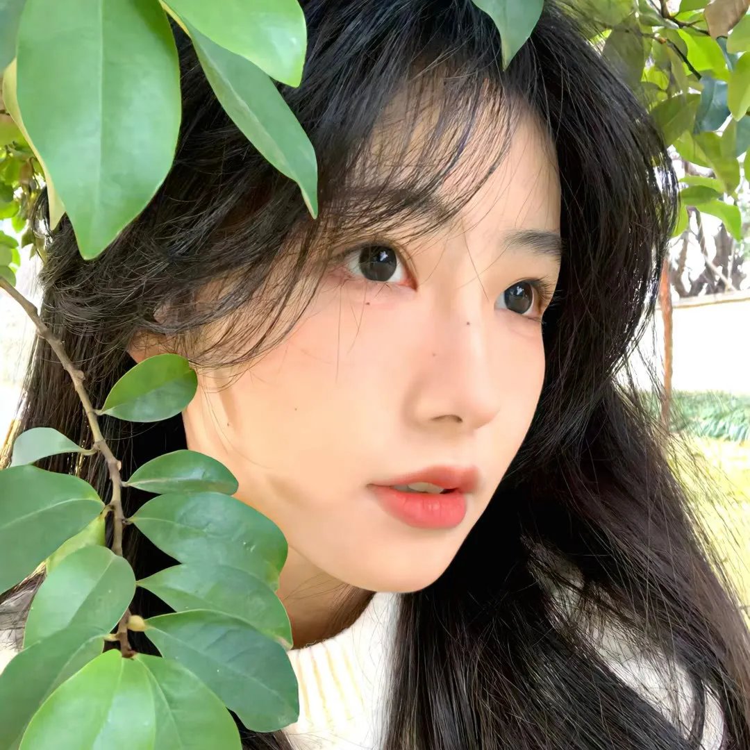 苏珊娜之家